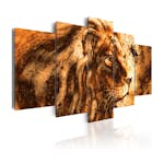 Tavla Arkiio Beautiful Lion