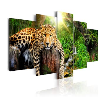 Tavla Arkiio Predator's Relaxation