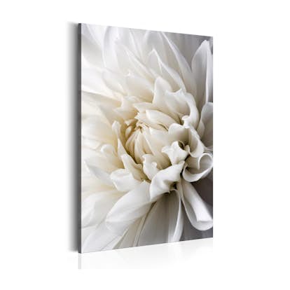 Tavla Arkiio White Dahlia