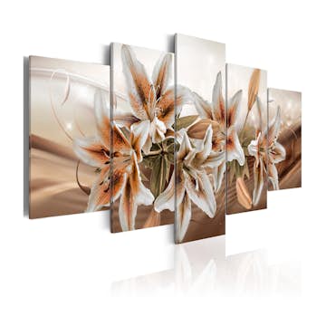 Tavla Arkiio Brown Graces