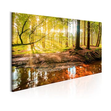 Tavla Arkiio Autumnal Reverie