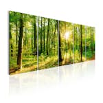 Tavla Arkiio Magic Forest