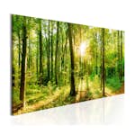 Tavla Arkiio Green Magic