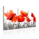 Tavla Arkiio Charming Poppies