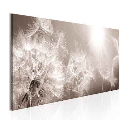 Tavla Arkiio Summer Dandelions