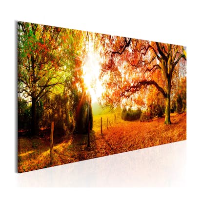 Tavla Arkiio Magic Of Autumn