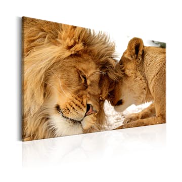 Tavla Arkiio Love's Secret