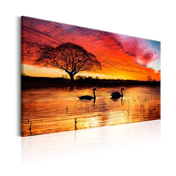 Tavla Arkiio Swan Lake