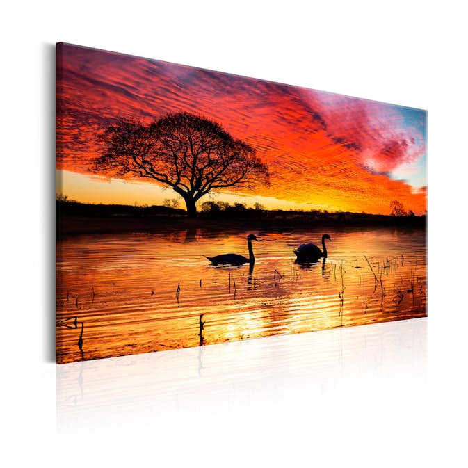 Tavla Arkiio Swan Lake