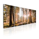 Tavla Arkiio Beauty Of Nature