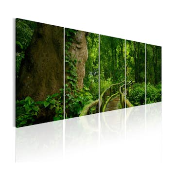 Tavla Arkiio Travel The Unknown