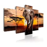 Tavla Arkiio Elephant Migration