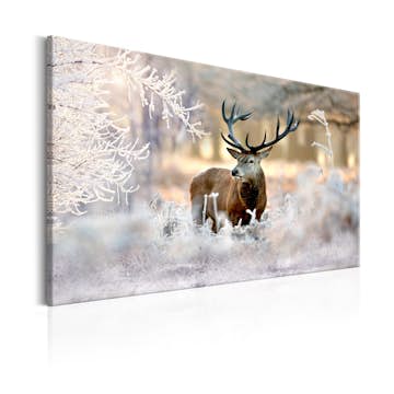 Tavla Arkiio Deer In The Cold