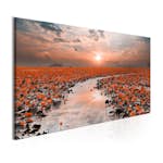 Tavla Arkiio Lily Pathway Wide 100x45