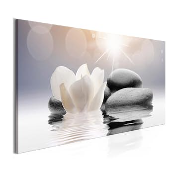 Tavla Arkiio Natural Lightness