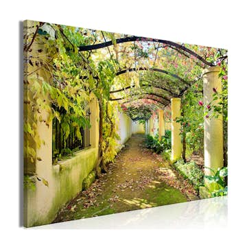 Tavla Arkiio Pergola