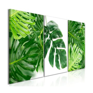 Tavla Arkiio Palm Leaves 3 delar 120x60