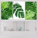 Tavla Arkiio Palm Leaves 3 delar 120x60