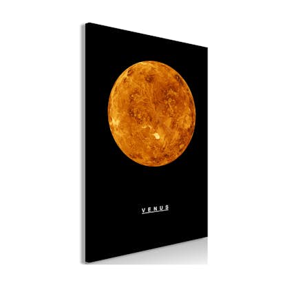 Tavla Arkiio Venus