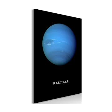 Tavla Arkiio Neptune