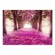 Fototapet Arkiio Självhäftande Pink Path
