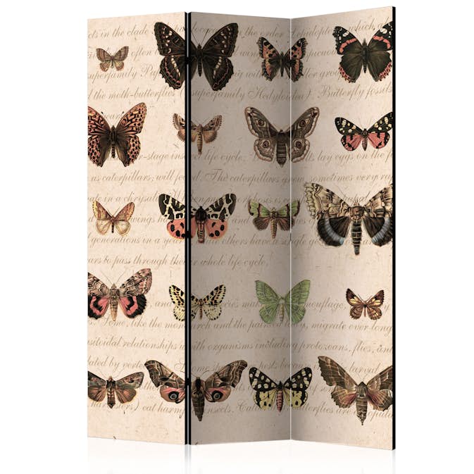 Rumsavdelare Arkiio Retro Style: Butterflies 135x172 cm