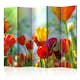Rumsavdelare Arkiio Spring Tulips II 225x172 cm