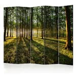 Rumsavdelare Arkiio Morning in the Forest II 225x172 cm