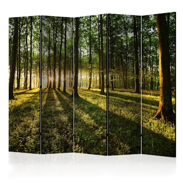 Rumsavdelare Arkiio Morning in the Forest II 225x172 cm