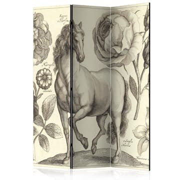 Rumsavdelare Arkiio Horse 135x172 cm