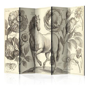 Rumsavdelare Arkiio Horse II 225x172 cm