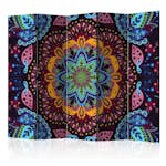 Rumsavdelare Arkiio Colourful Kaleidoscope II 225x172 cm