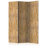 Rumsavdelare Arkiio Amazonian Wall 135x172 cm