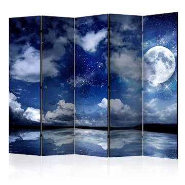 Rumsavdelare Arkiio Magic Night II 225x172 cm