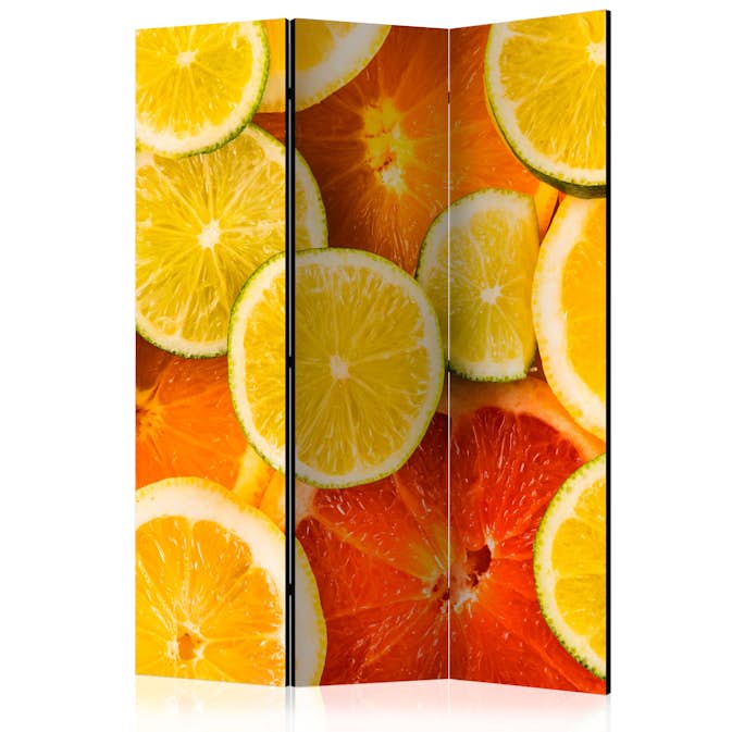 Rumsavdelare Arkiio Citrus Fruits 135x172 cm