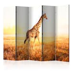 Rumsavdelare Arkiio Giraffe Walk II 225x172 cm