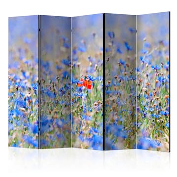 Rumsavdelare Arkiio A Sky-colored Meadow Cornflowers II 225x172 cm
