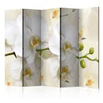 Rumsavdelare Arkiio Orchid Branch II 225x172 cm