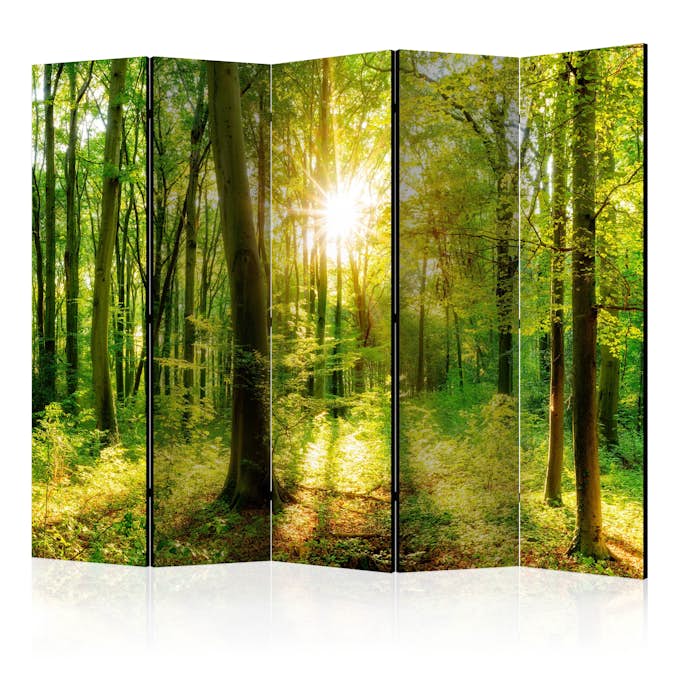 Rumsavdelare Arkiio Forest Rays II 225x172 cm