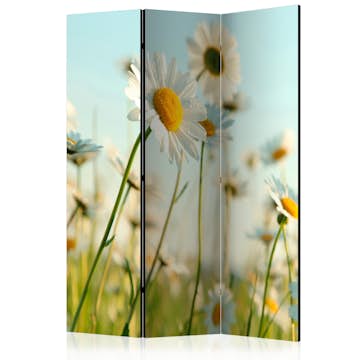 Rumsavdelare Arkiio Daisies Spring Meadow 135x172 cm