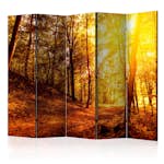 Rumsavdelare Arkiio Autumn Walk II 225x172 cm