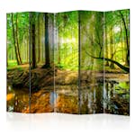 Rumsavdelare Arkiio Forest Stream II 225x172 cm