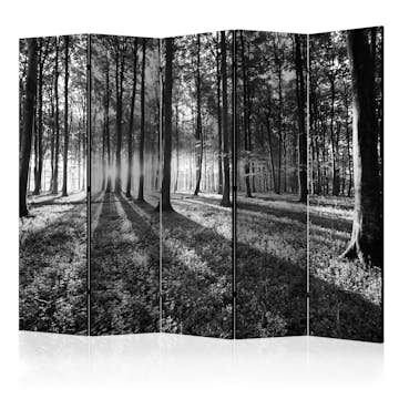 Rumsavdelare Arkiio Grey Wilderness II 225x172 cm
