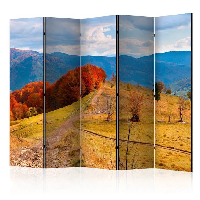 Rumsavdelare Arkiio Autumn Landscape In The Carpathian Mountains II 225x172 cm