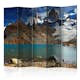 Rumsavdelare Arkiio Mount Fitz Roy Patagonia Argentina II 225x172 cm