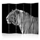 Rumsavdelare Arkiio White Tiger II 225x172 cm