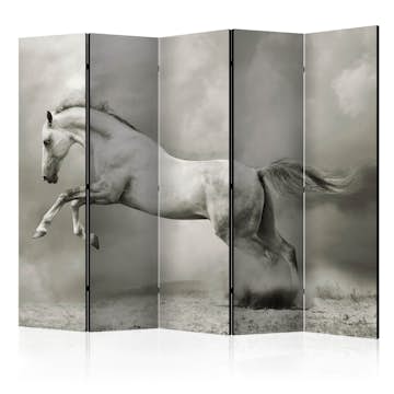 Rumsavdelare Arkiio Wild Stallion II 225x172 cm