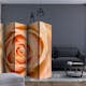 Rumsavdelare Arkiio Peach-Colored Rose II 225x172 cm