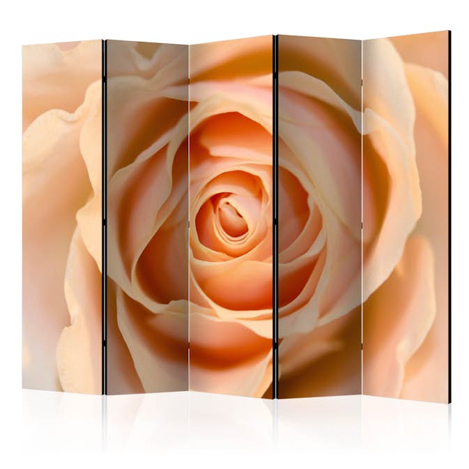 Rumsavdelare Arkiio Peach-Colored Rose II 225x172 cm