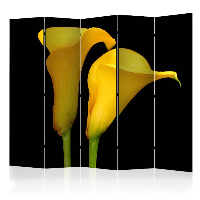 Rumsavdelare Arkiio Two Yellow Calla Flowers On A Black Background II 225x172 cm